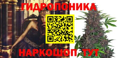 ALPHA PVP Ачхой-Мартан