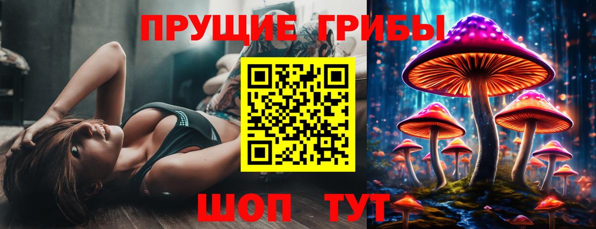 Галлюциногенные грибы Cubensis Саратов